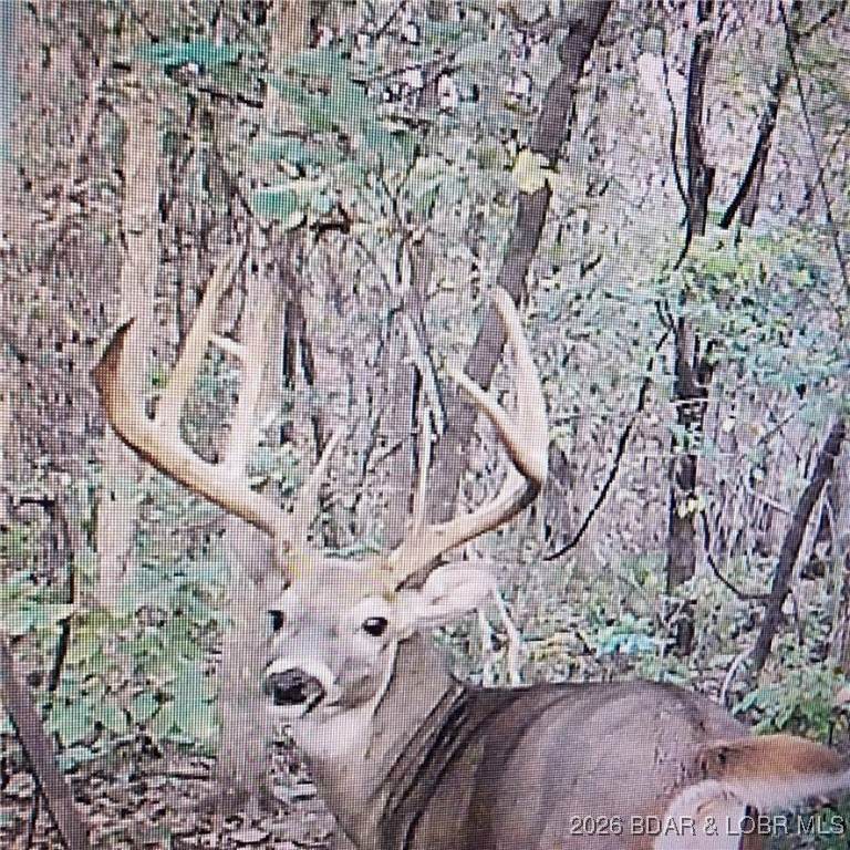 Lot 5 State Aa Road - Photo 1