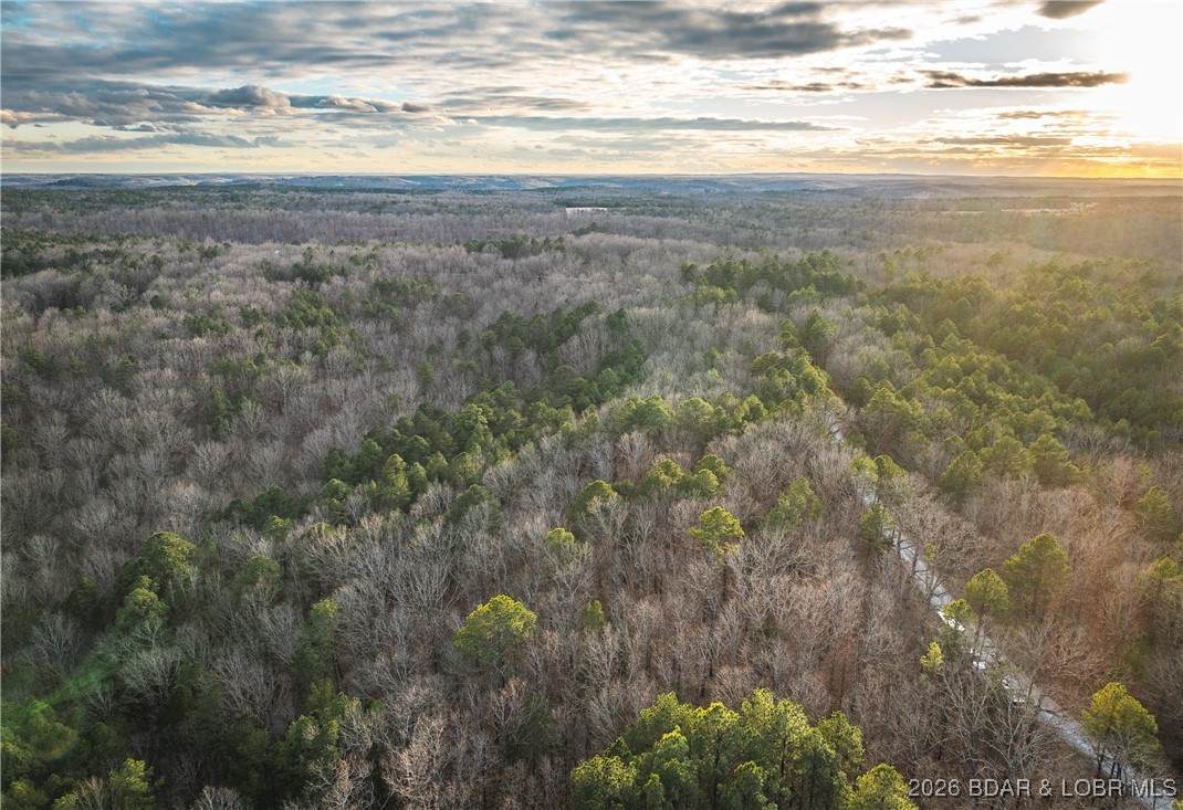 62.90 TBD Slaughter Road - Photo 1