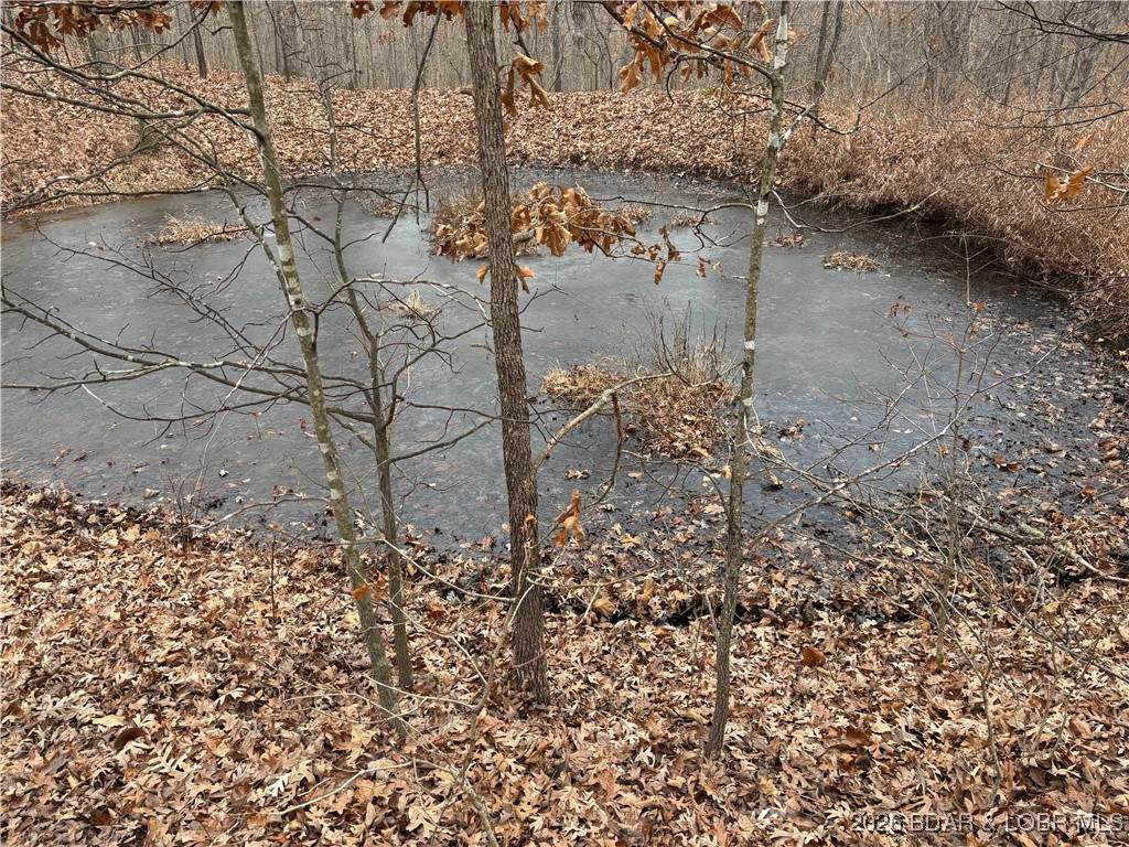 Tract C Industry Road - Photo 1