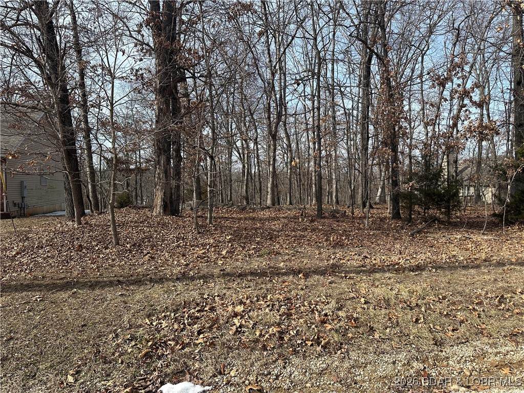 Lot 157 Anemone Road - Photo 1