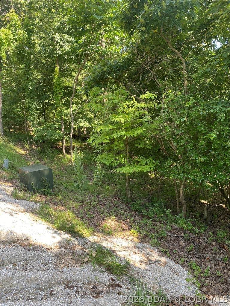 https://bt-photos.global.ssl.fastly.net/ozarks/orig_boomver_1_3584046-2.jpg