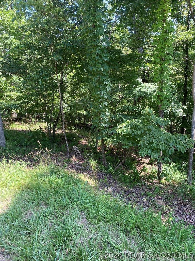 https://bt-photos.global.ssl.fastly.net/ozarks/orig_boomver_1_3584046-2.jpg
