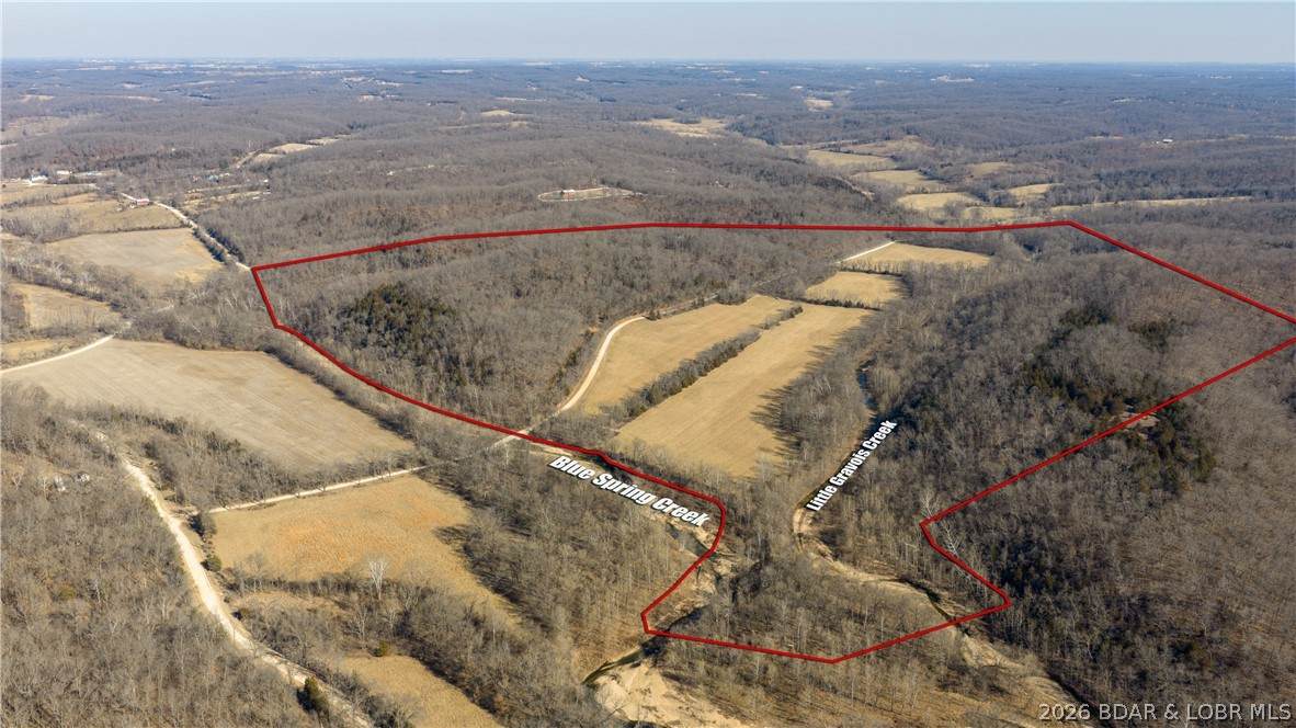 TBD Witt Road - Photo 1