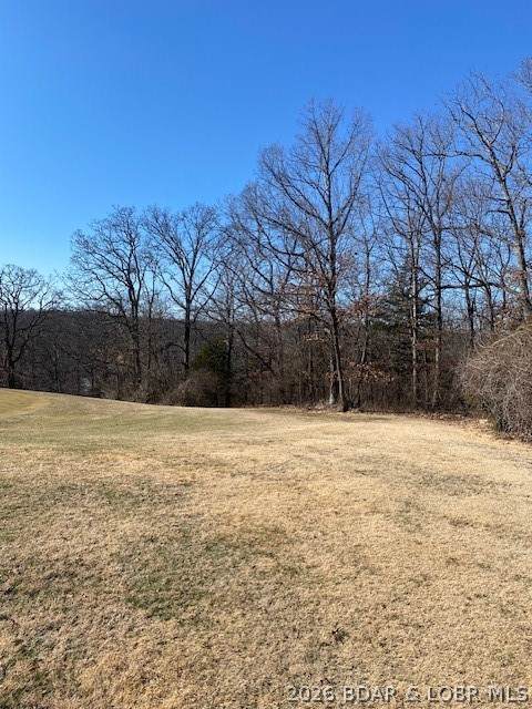 Lot 30 Country Club Cove Drive - Photo 1