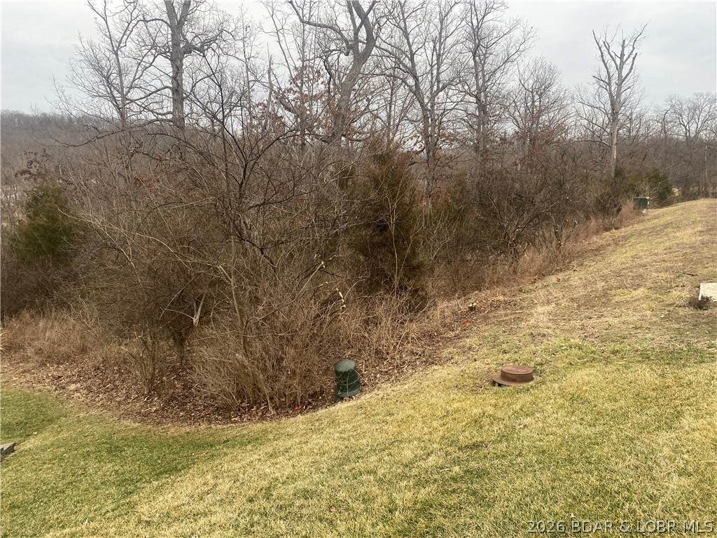 Lot 49 Country Club Cove Drive - Photo 1