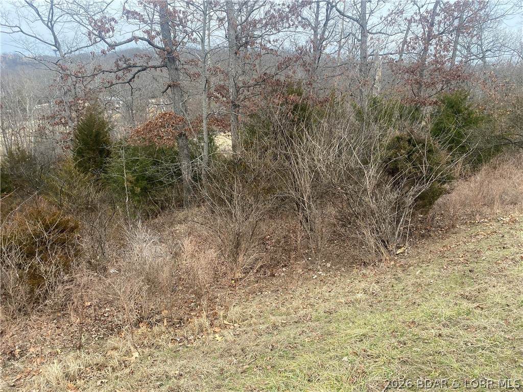 https://bt-photos.global.ssl.fastly.net/ozarks/orig_boomver_1_3584151-2.jpg