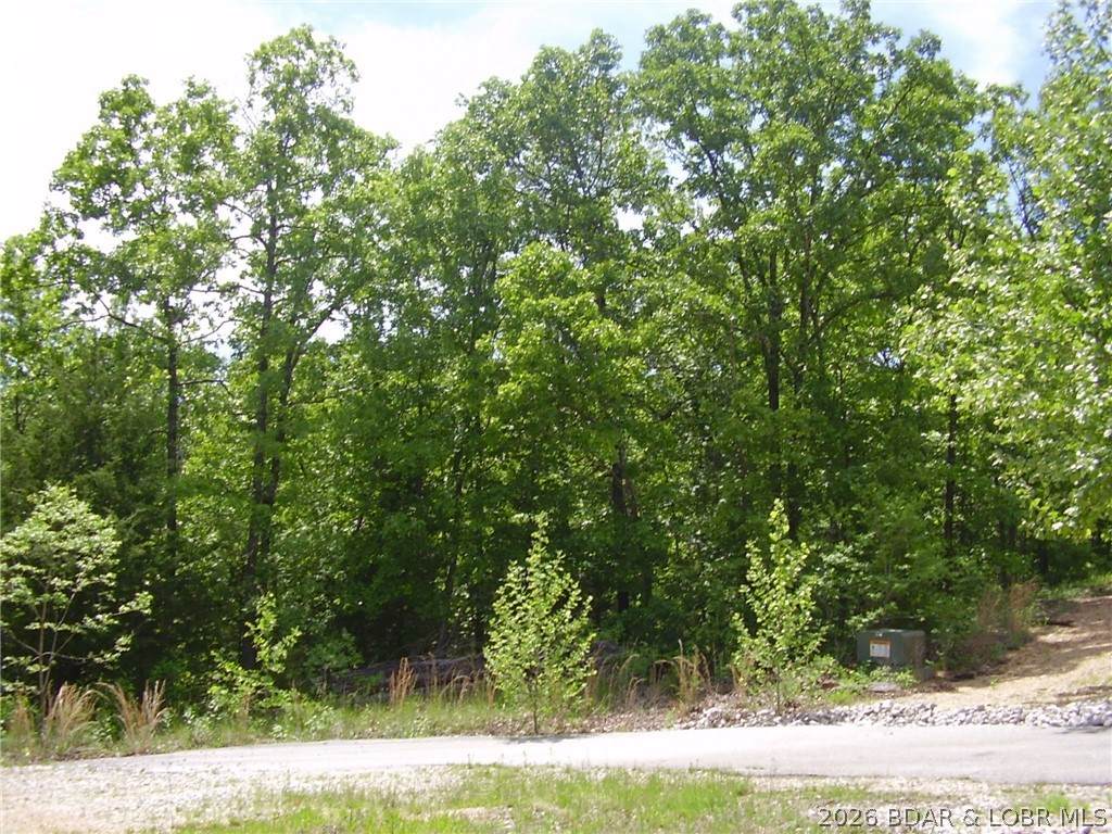 22 Silver Spur Court - Photo 1