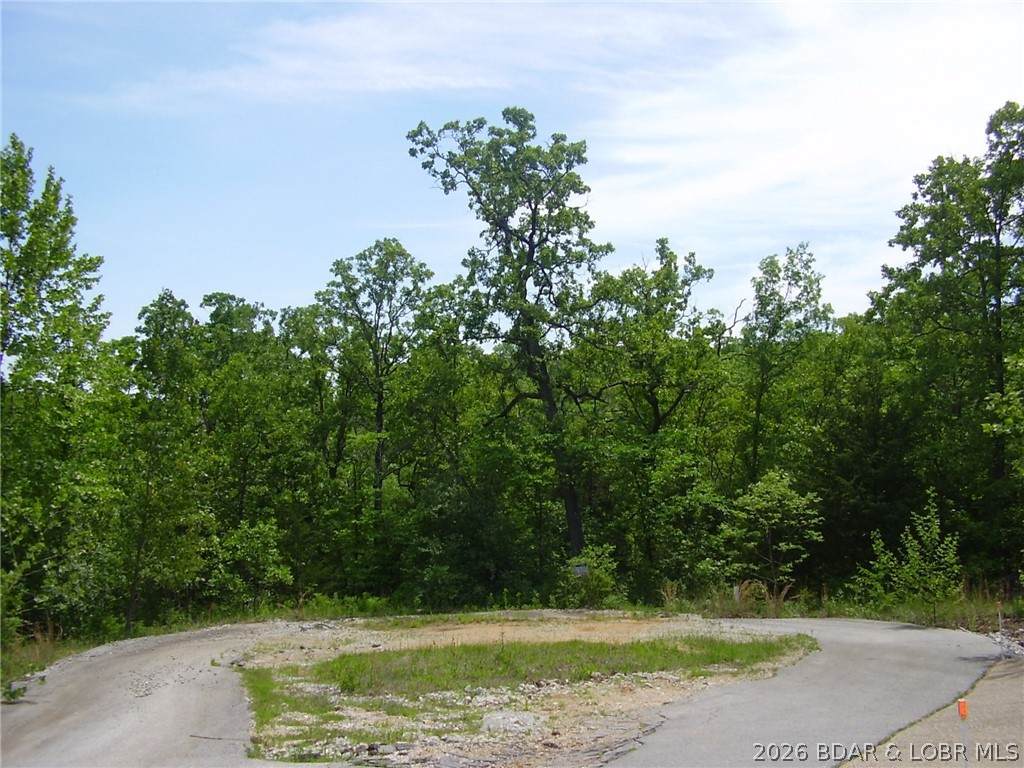 https://bt-photos.global.ssl.fastly.net/ozarks/orig_boomver_1_3584623-2.jpg