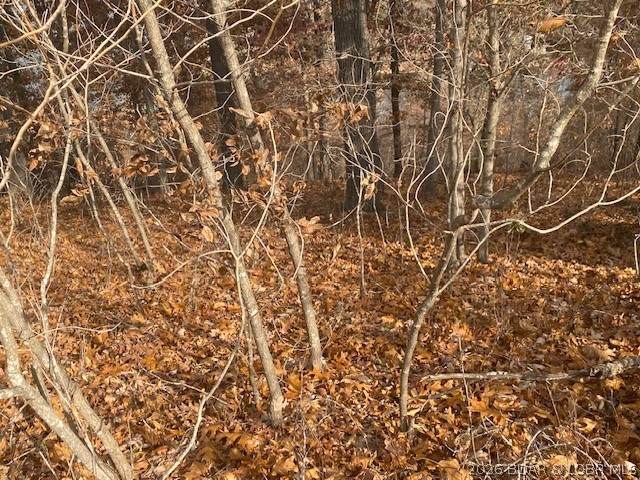 https://bt-photos.global.ssl.fastly.net/ozarks/orig_boomver_2_3584782-2.jpg