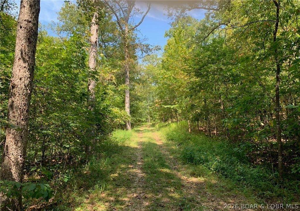 17ac Forrest Hill Lane - Photo 1