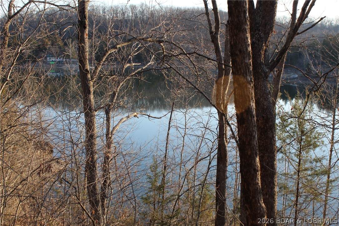 https://bt-photos.global.ssl.fastly.net/ozarks/orig_boomver_1_3585005-2.jpg