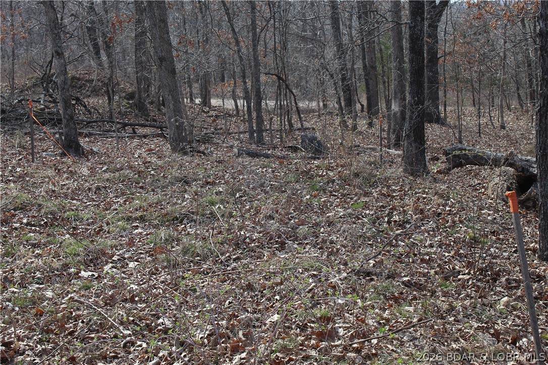 https://bt-photos.global.ssl.fastly.net/ozarks/orig_boomver_1_3585107-2.jpg