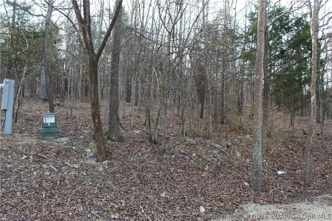 https://bt-photos.global.ssl.fastly.net/ozarks/orig_boomver_1_3585111-2.jpg