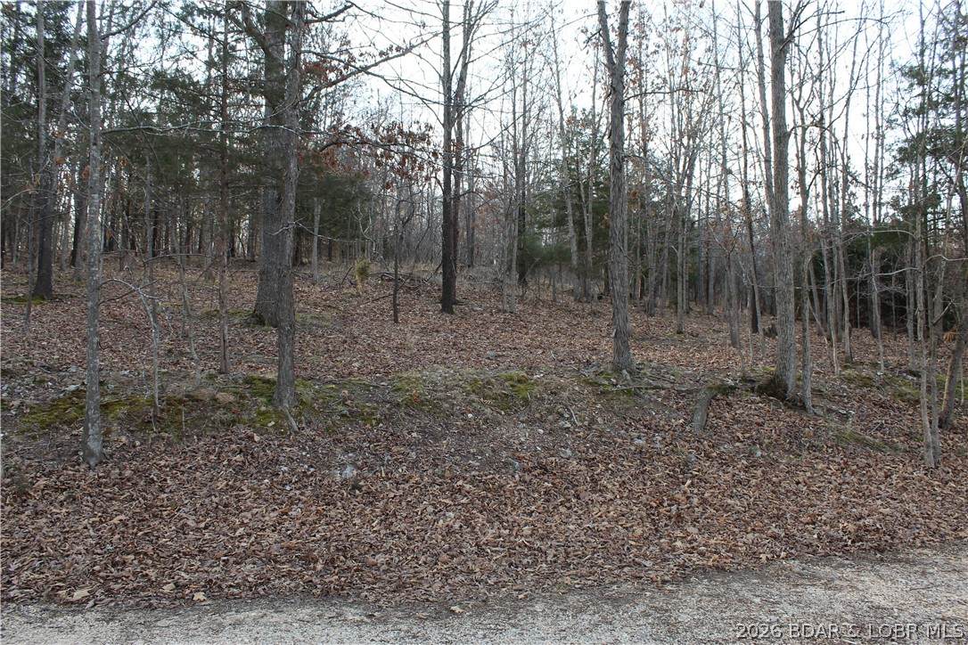 https://bt-photos.global.ssl.fastly.net/ozarks/orig_boomver_1_3585111-2.jpg