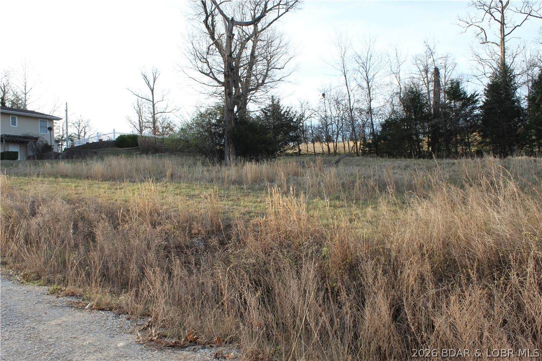 Lot C-12 Country Life Road - Photo 1