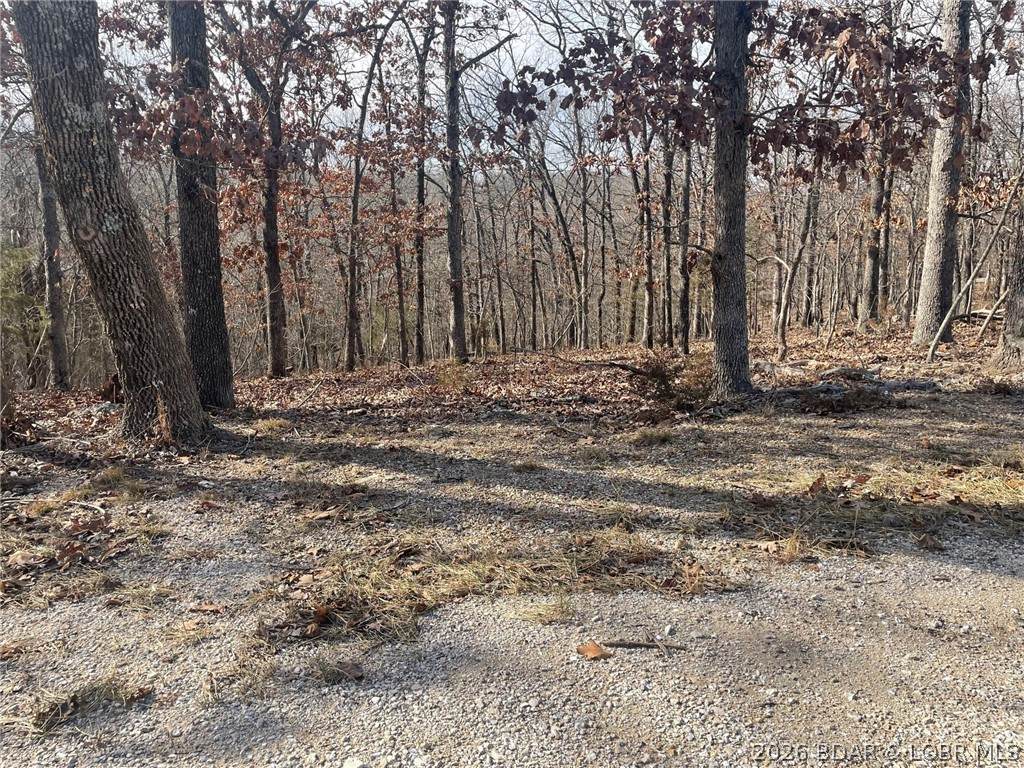 https://bt-photos.global.ssl.fastly.net/ozarks/orig_boomver_1_3586385-2.jpg