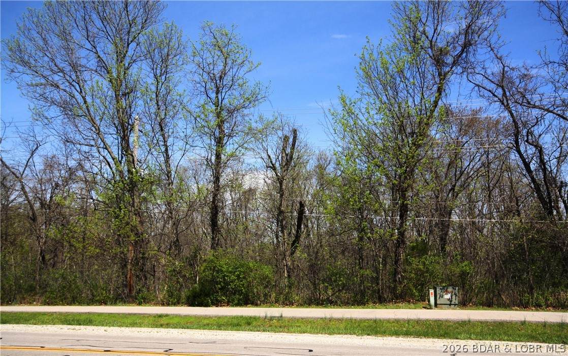 Lot 698 Horseshoe Bend Parkway - Photo 1