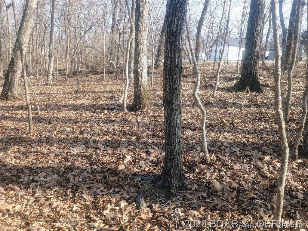 LOT TBD 344 Austin Circle - Photo 1