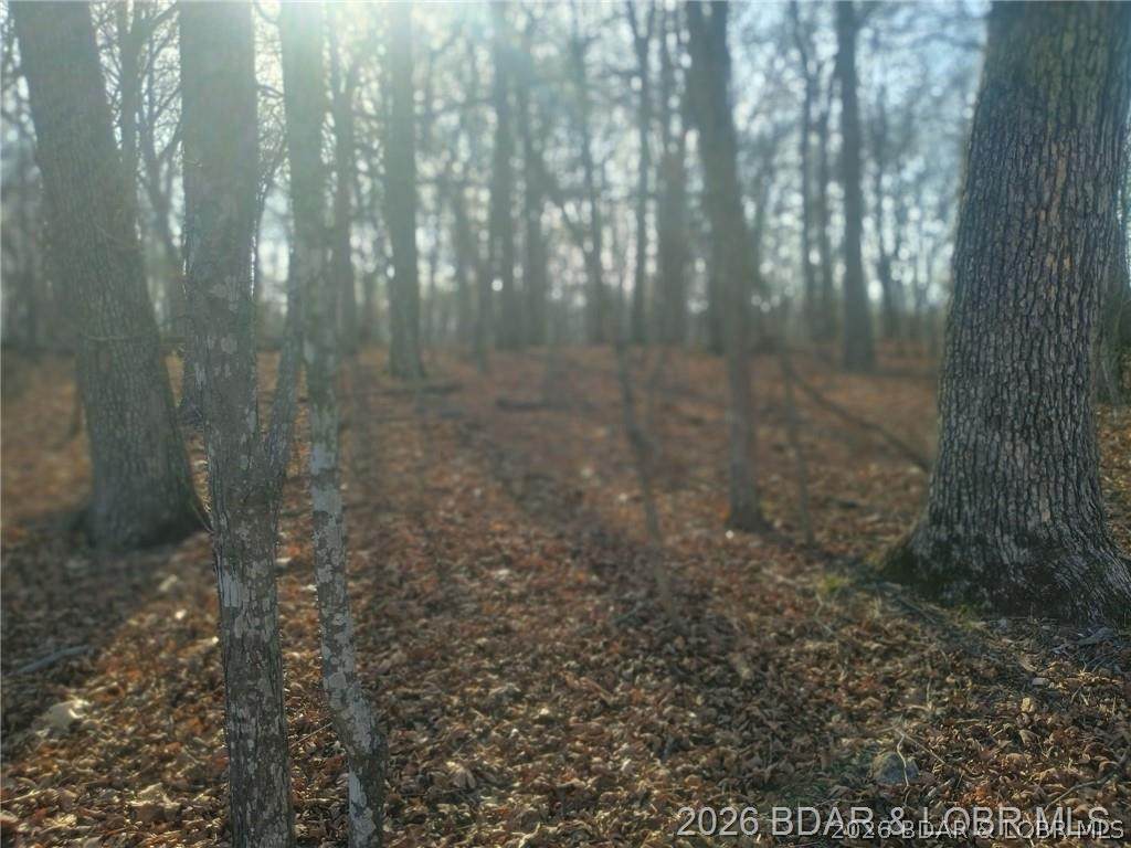 https://bt-photos.global.ssl.fastly.net/ozarks/orig_boomver_1_3586421-2.jpg
