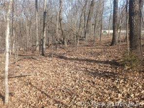 TBD LOT 47 & 48 Bloomington Drive - Photo 1