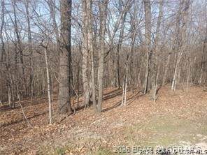 https://bt-photos.global.ssl.fastly.net/ozarks/orig_boomver_1_3586462-2.jpg