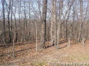https://bt-photos.global.ssl.fastly.net/ozarks/orig_boomver_1_3586462-2.jpg