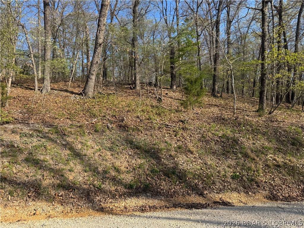 LOT 166 Albany Drive - Photo 1