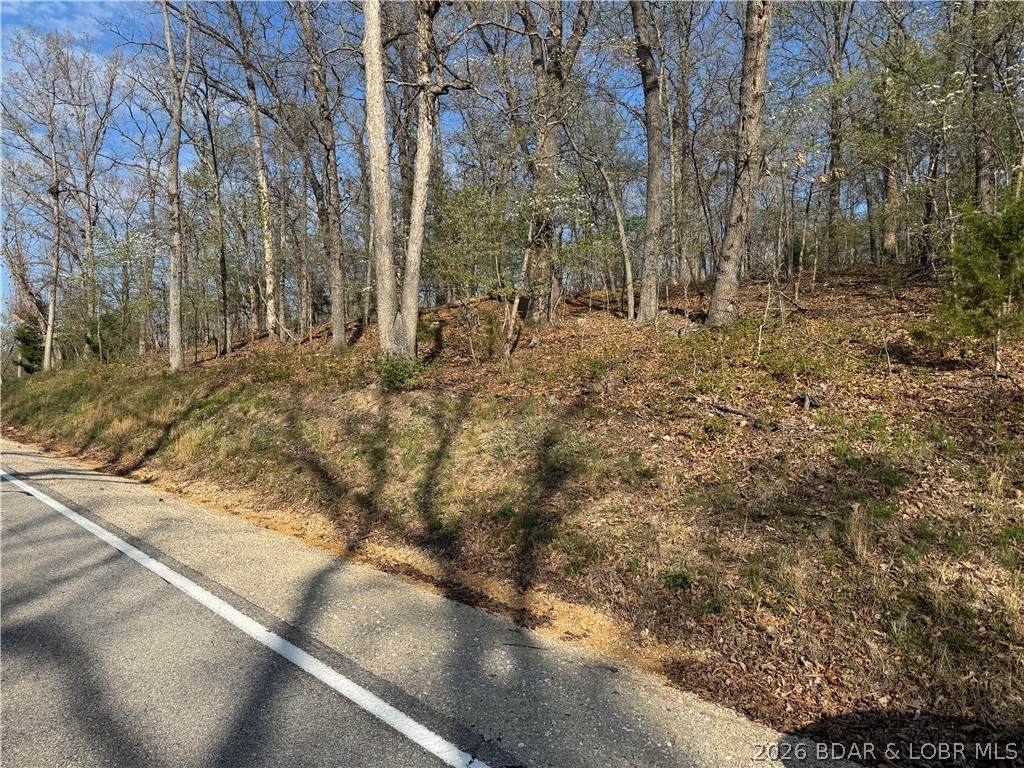 https://bt-photos.global.ssl.fastly.net/ozarks/orig_boomver_1_3586465-2.jpg