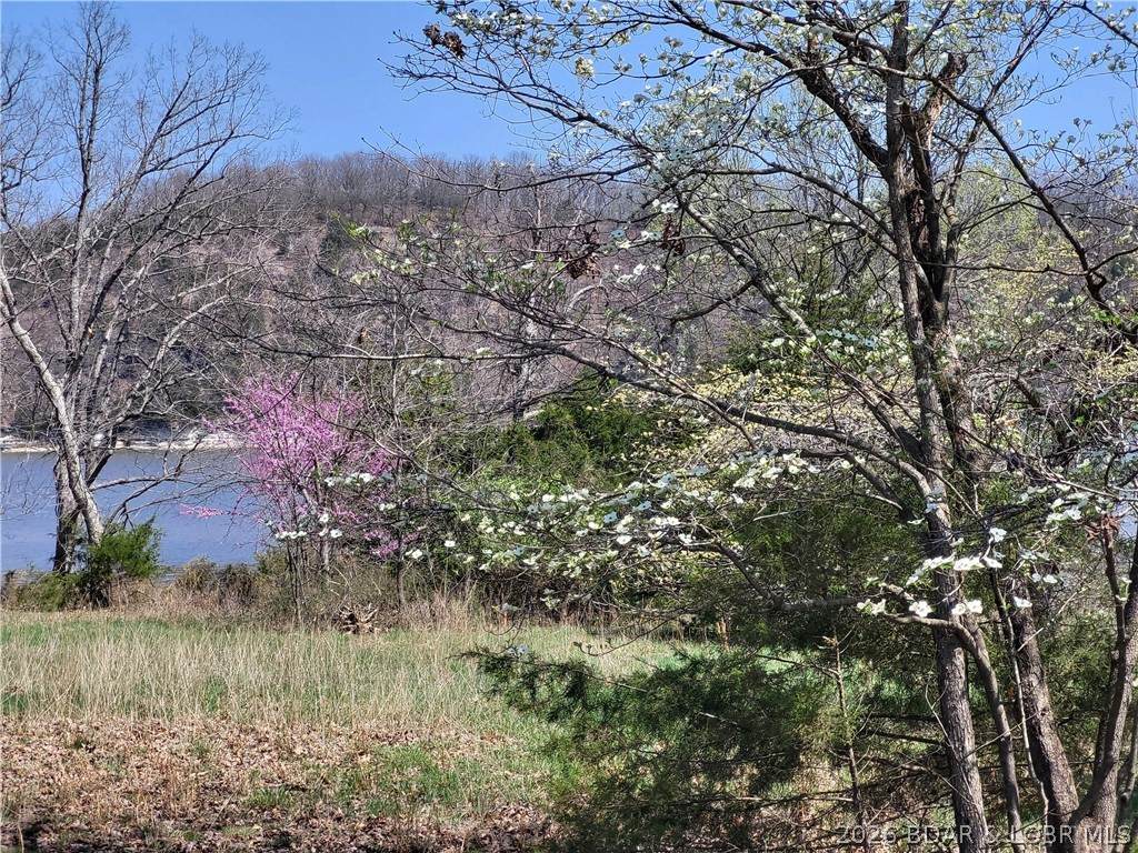  Emerald Hills Drive - Photo 1