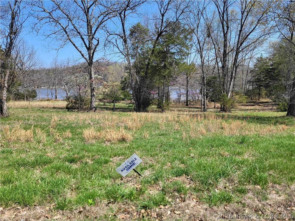 https://bt-photos.global.ssl.fastly.net/ozarks/orig_boomver_1_3586721-2.jpg