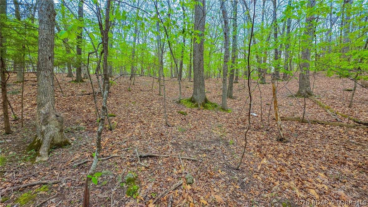 Lot #499 Grand View Drive - Photo 1