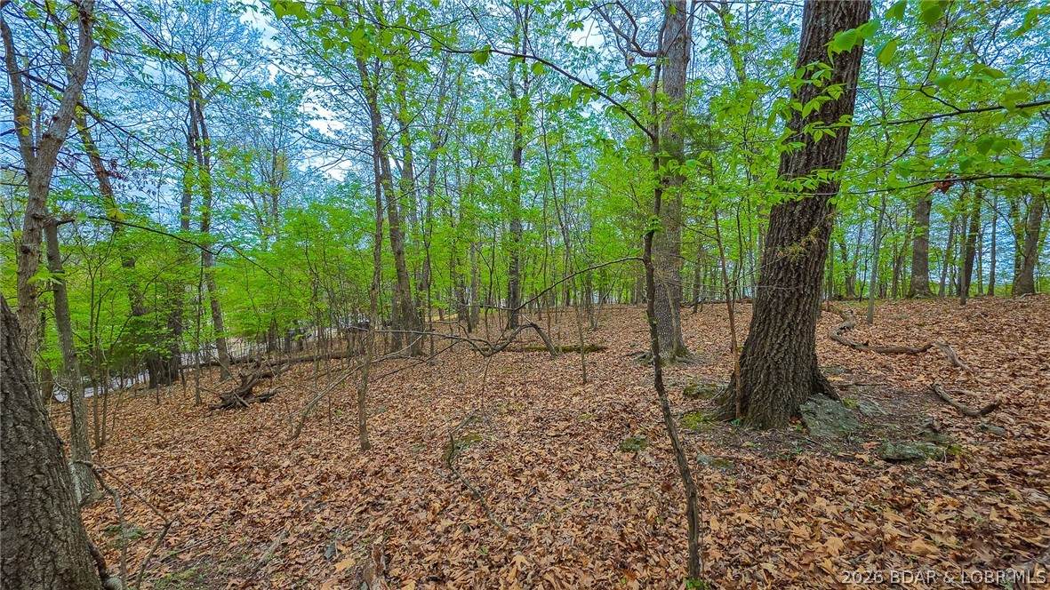 https://bt-photos.global.ssl.fastly.net/ozarks/orig_boomver_1_3586805-2.jpg