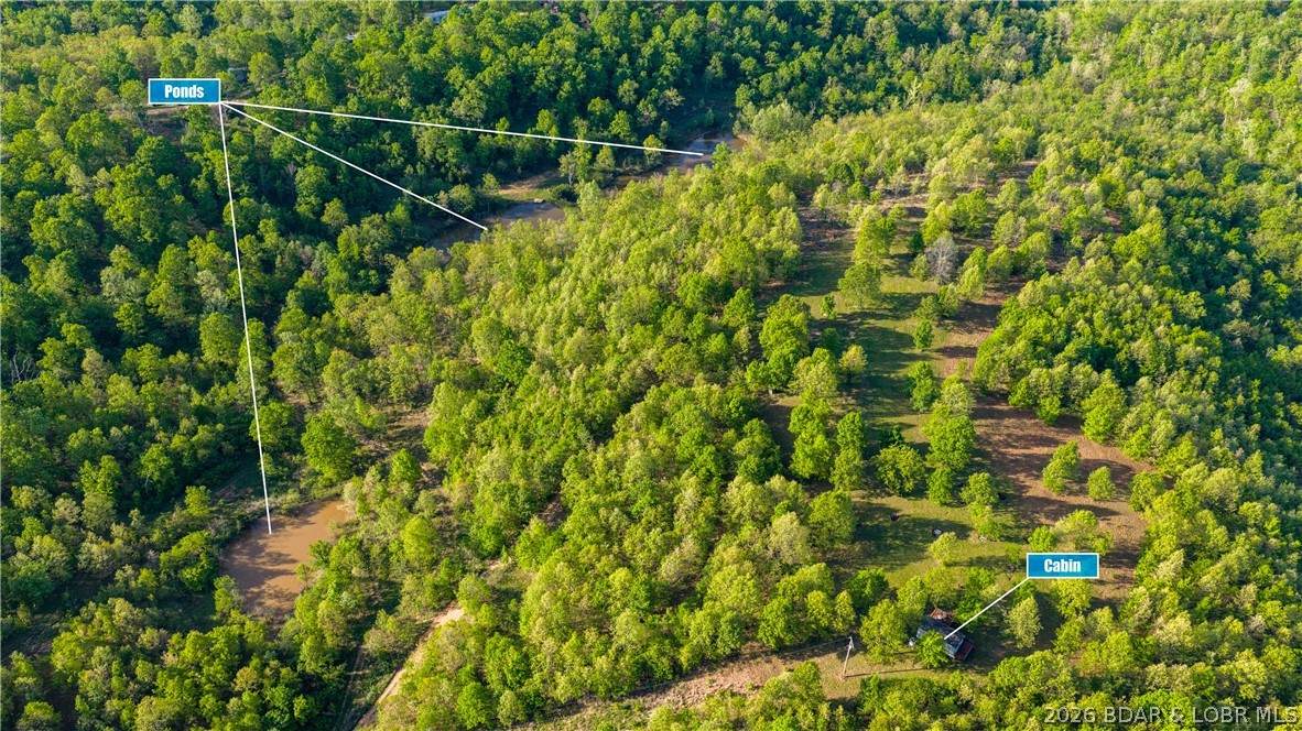 40 Acres State Road D - Photo 1