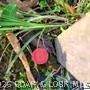 000 Wendy's Lane - Photo 15