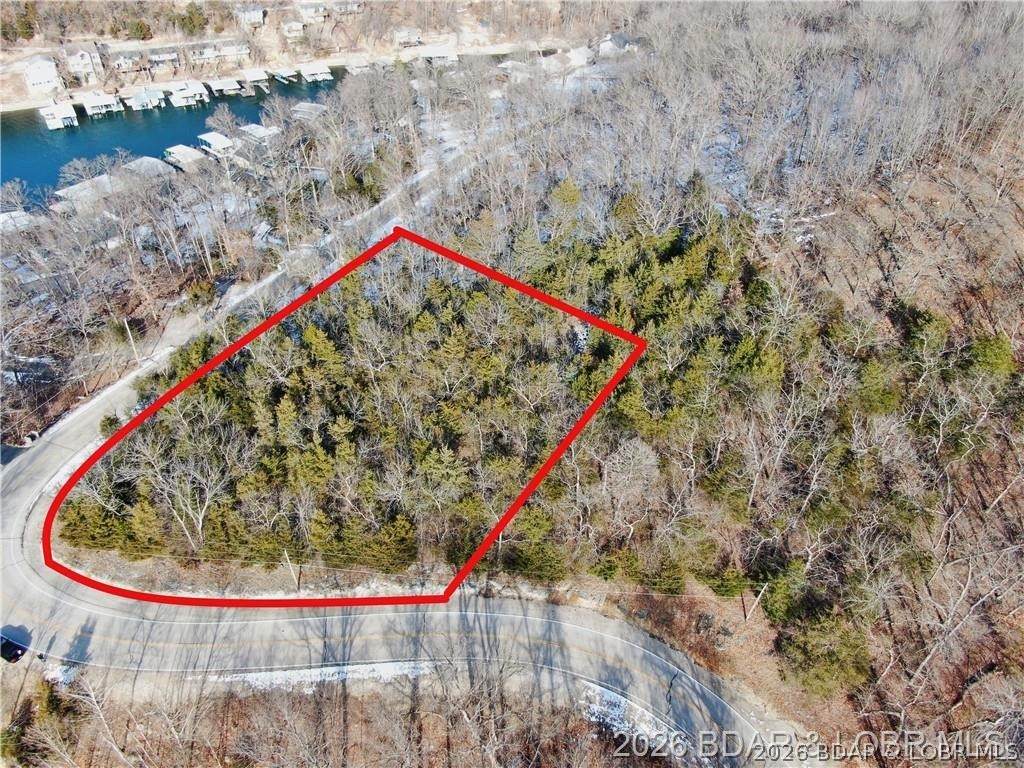 Lot 34 Dogwood Road - Photo 1