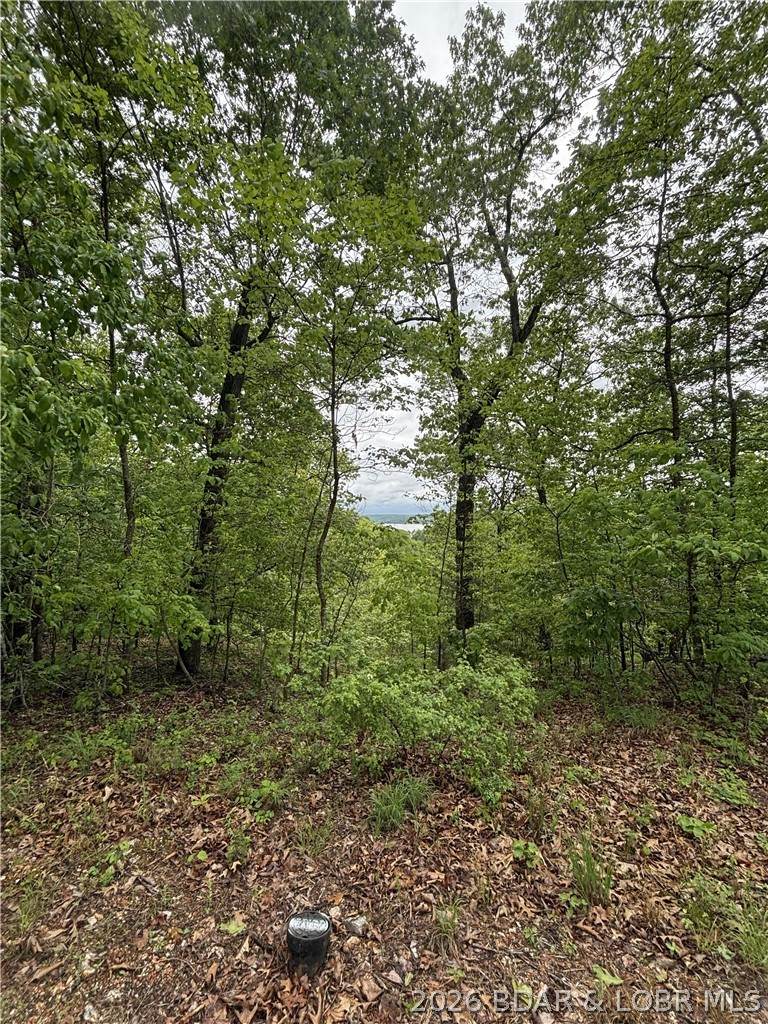 https://bt-photos.global.ssl.fastly.net/ozarks/orig_boomver_1_3587027-2.jpg