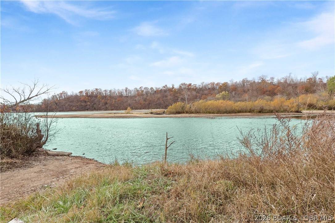 16376 Twisted Tree Road - Photo 1