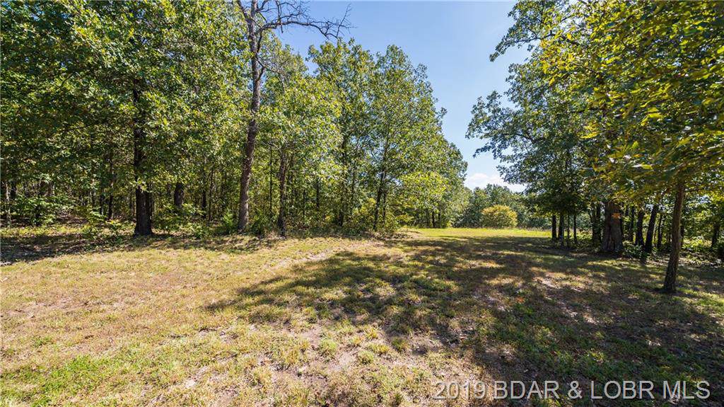Pioneer Overlook Road - Photo 1
