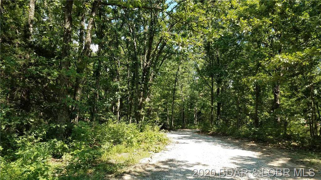 40 Ac+/- Big Buffalo Road - Photo 1