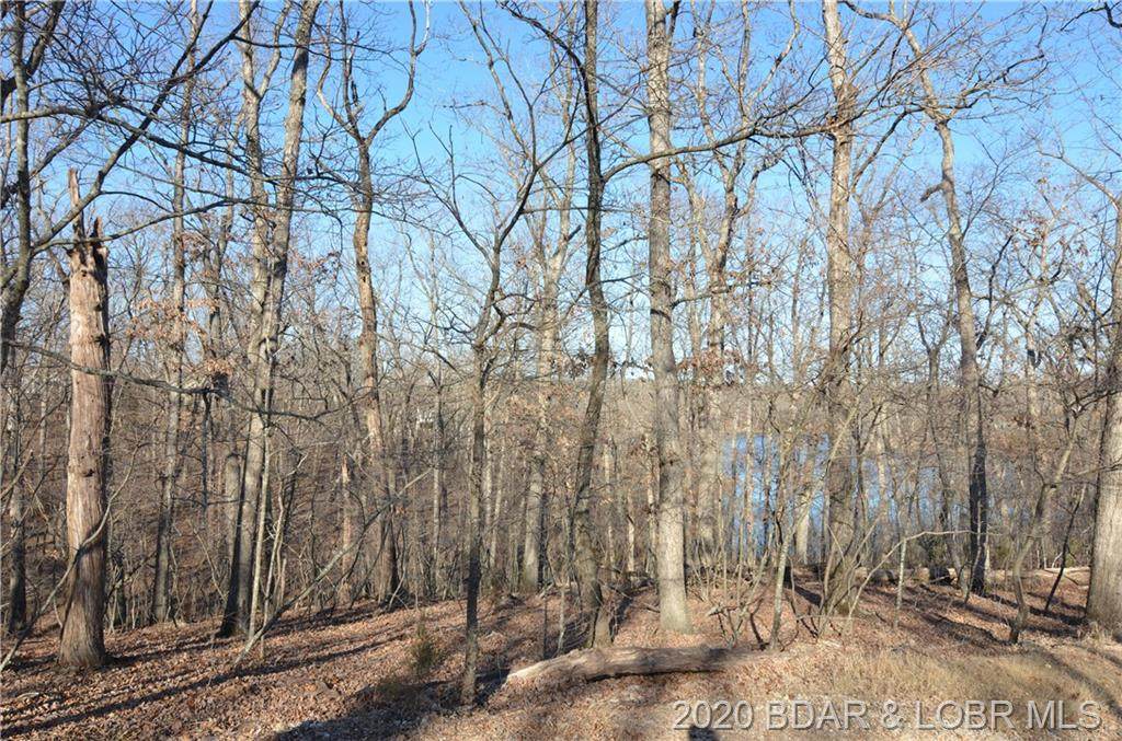 Lot 1225 Briarwood Lane - Photo 1
