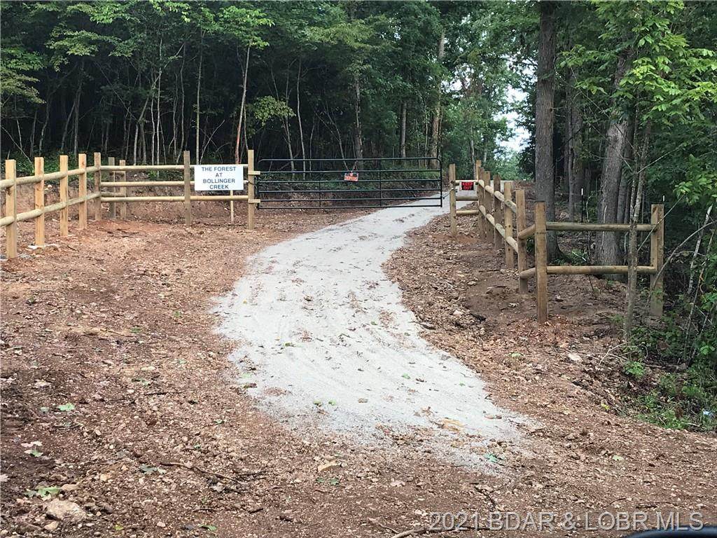 TBD Bollinger Creek Road - Photo 1