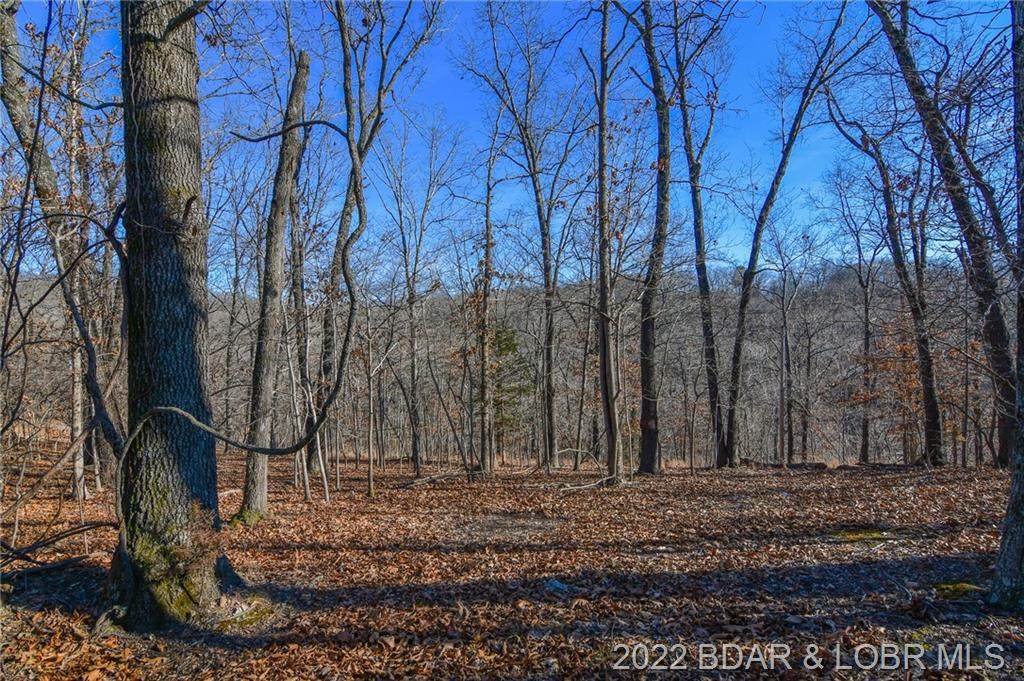 Lot 22 Winston Court - Photo 1