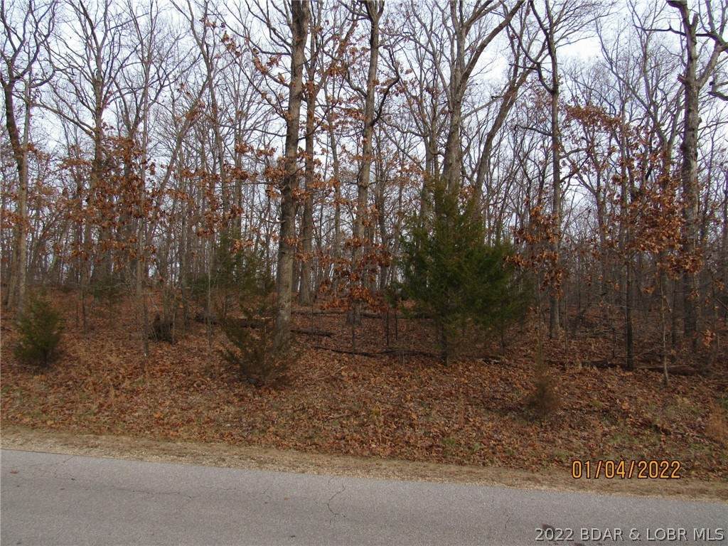 Lot #1512 Via Appia Drive - Photo 1