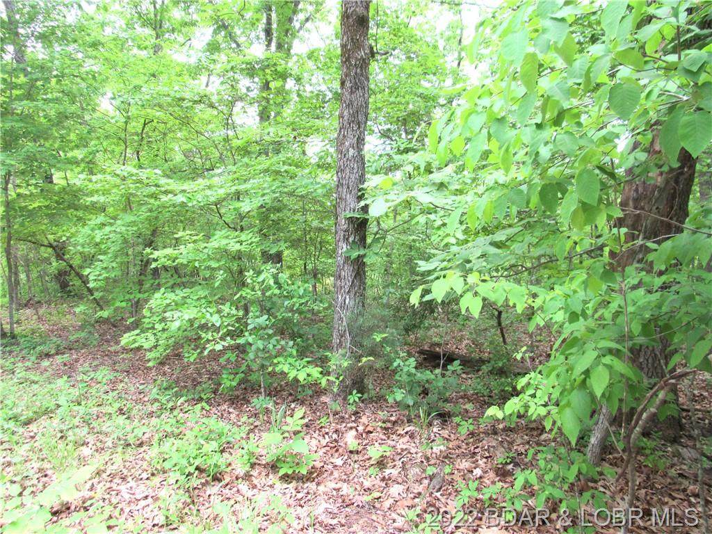 TBD 1 & 7 Paul Road - Photo 1