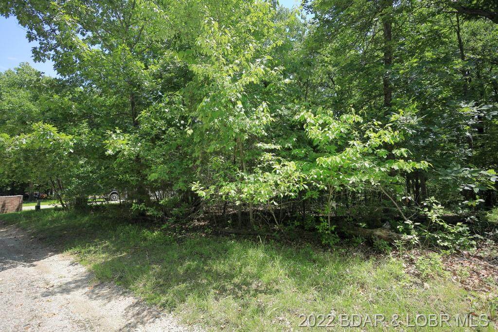 Lot 1240 White Oak Drive - Photo 1