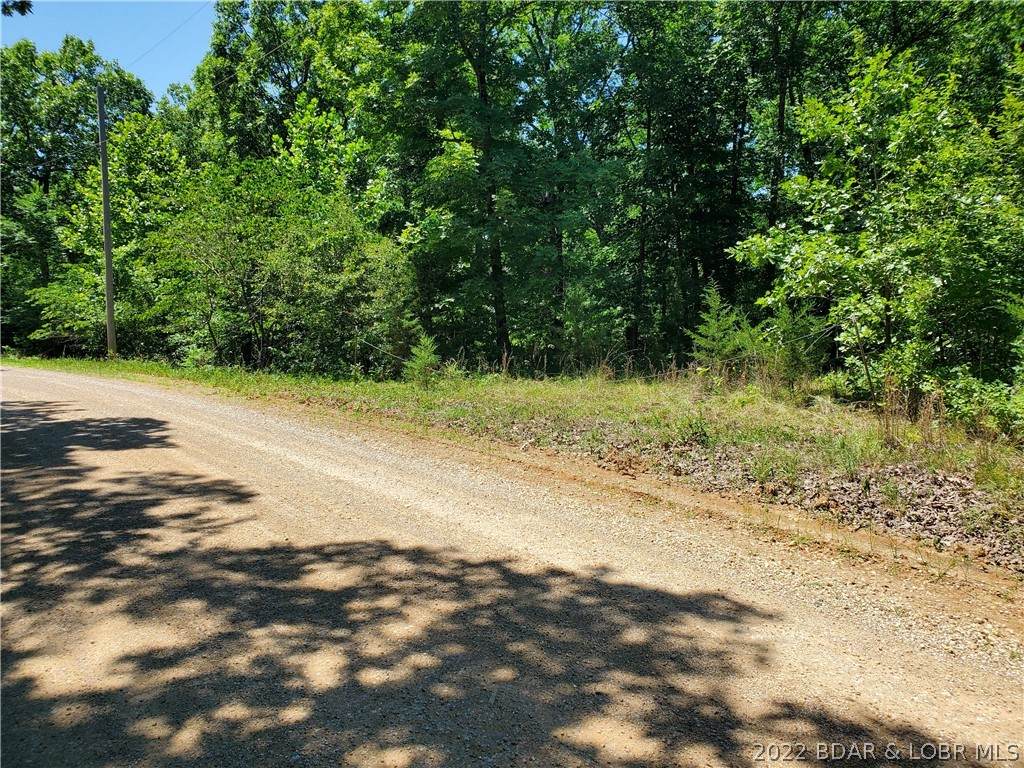TBD Eagle Pass Road - Photo 1