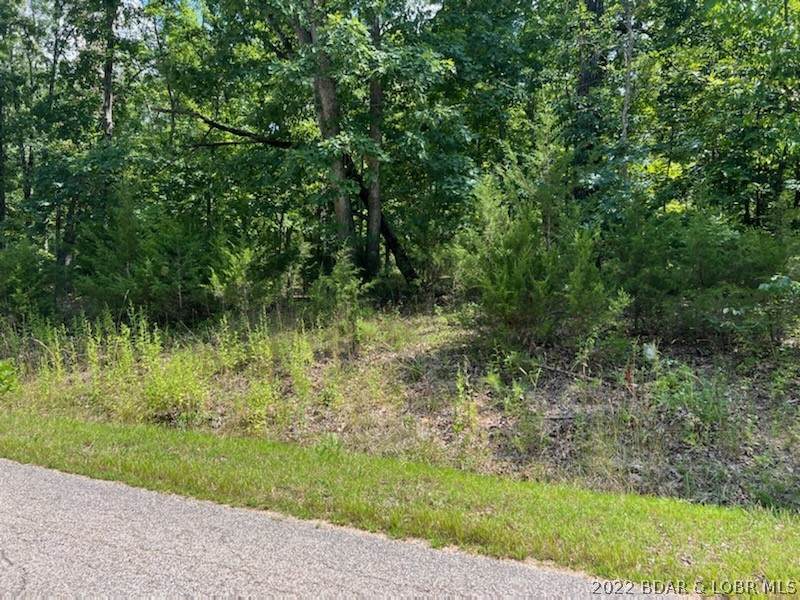 1236 Spring Creek Drive - Photo 1