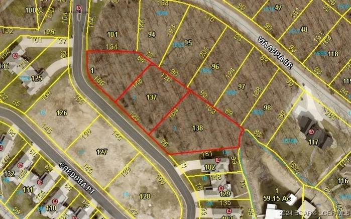 Lots 1, 2, and 3 Cordoba Point - Photo 1