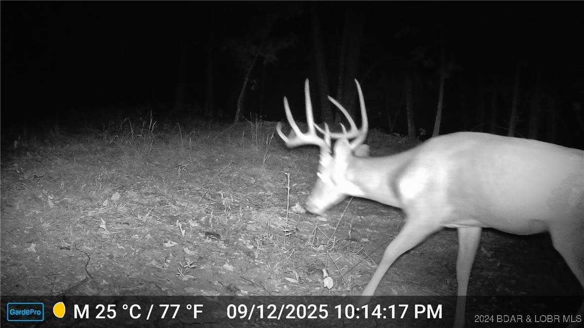 https://bt-photos.global.ssl.fastly.net/ozarks/orig_boomver_2_3569444-2.jpg