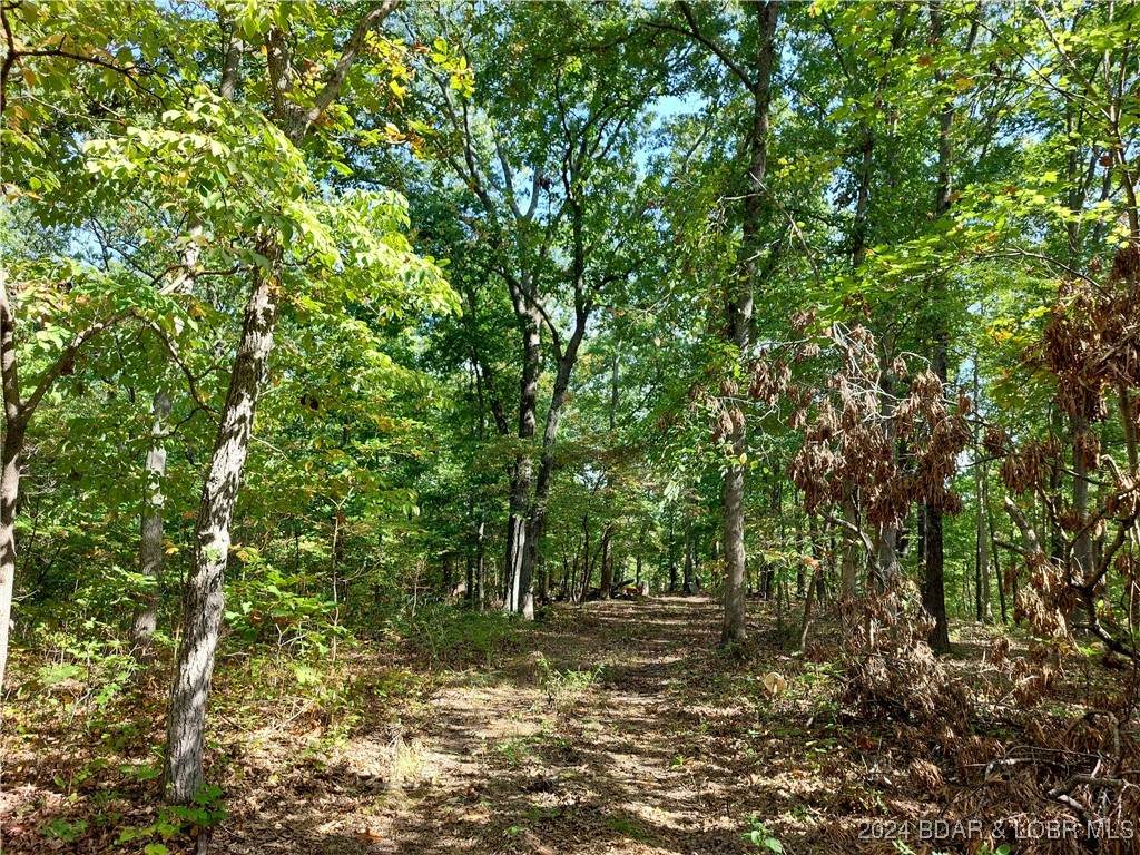 https://bt-photos.global.ssl.fastly.net/ozarks/orig_boomver_2_3569444-2.jpg